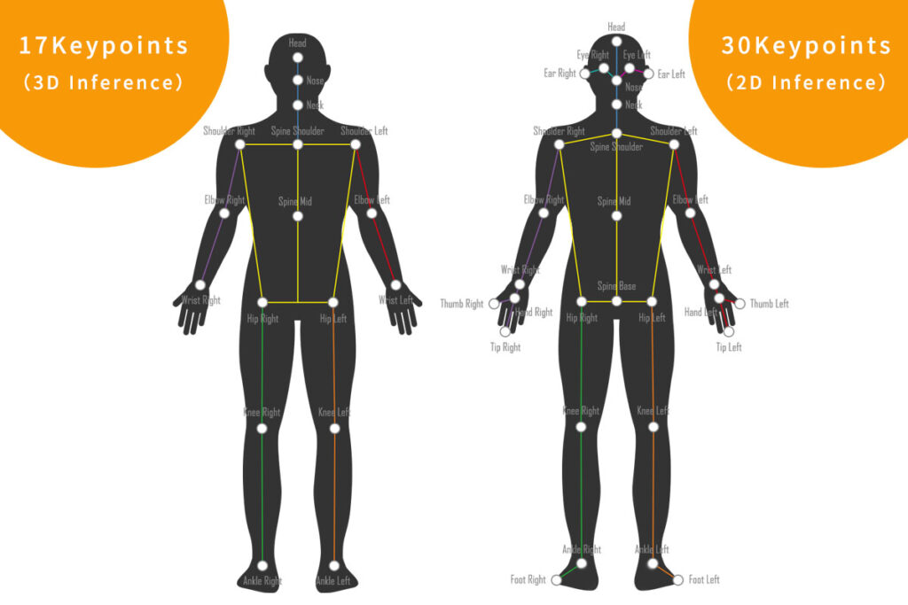 17 keypoints that can be detected by VisionPose Single3D during 3D Inference, 30 keypoints that can be detected during 2D inference