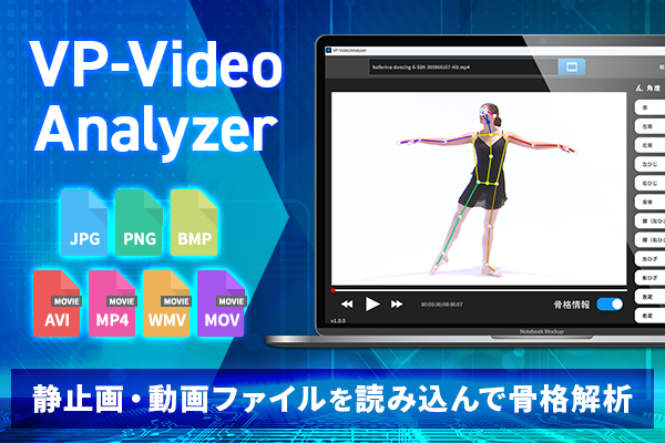 VP-VideoAnalyzer