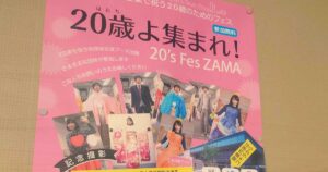 20'S FES ZAMAポスター