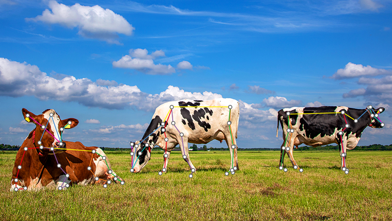 複数の牛の姿勢・行動検知による早期発病検出